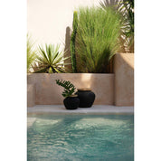 Timeless Black Natural Vase - Artisan Crafted Luxury Design