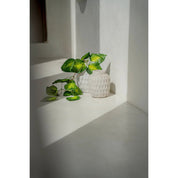 Timeless Handmade Concrete Vase - Luxury Artisan Design