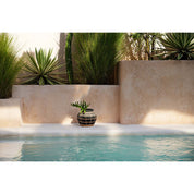 Luxury Handmade Belly Vase in Timeless Black Natural Design